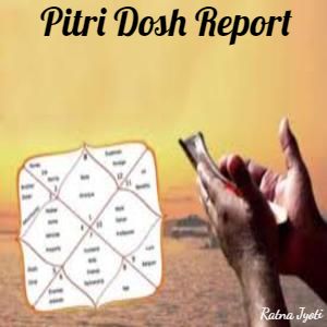 Pitri Dosh Reports