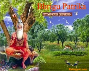 Bhrigu Patrika (Life Time Horoscope)