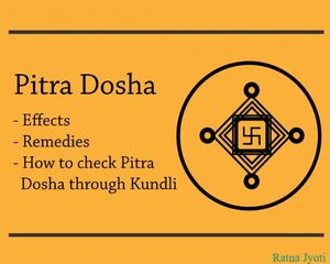 Check Your Pitra Dosh Reports