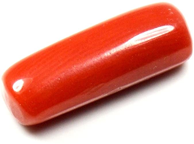 Natural Red Coral